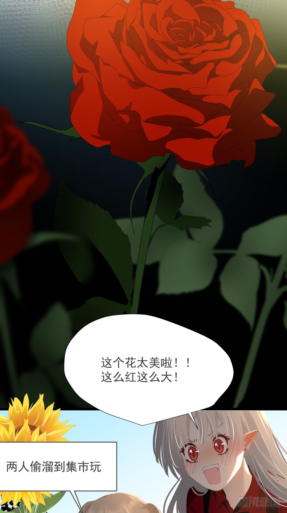49.卡罗拉17