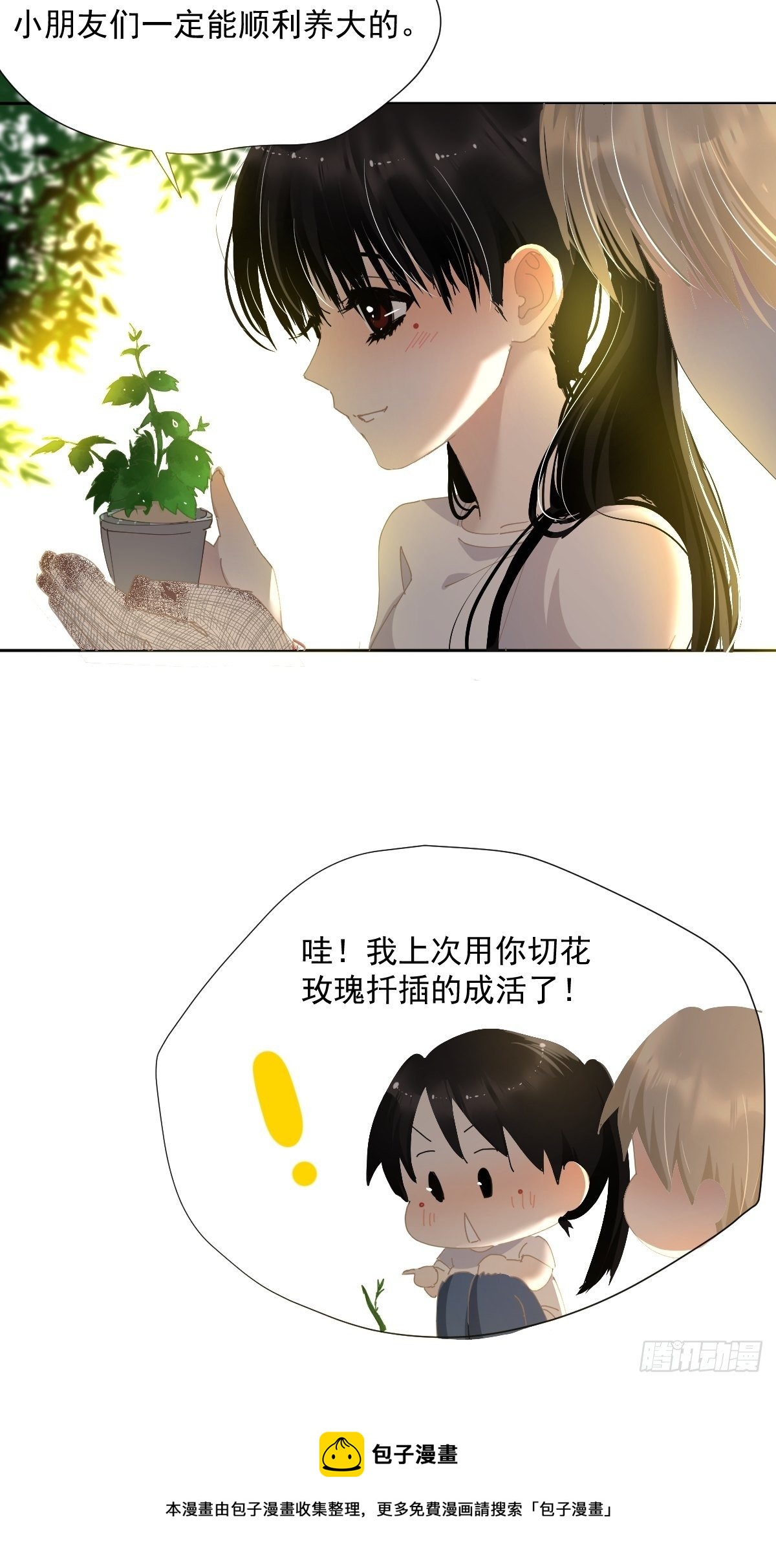 49.卡罗拉12