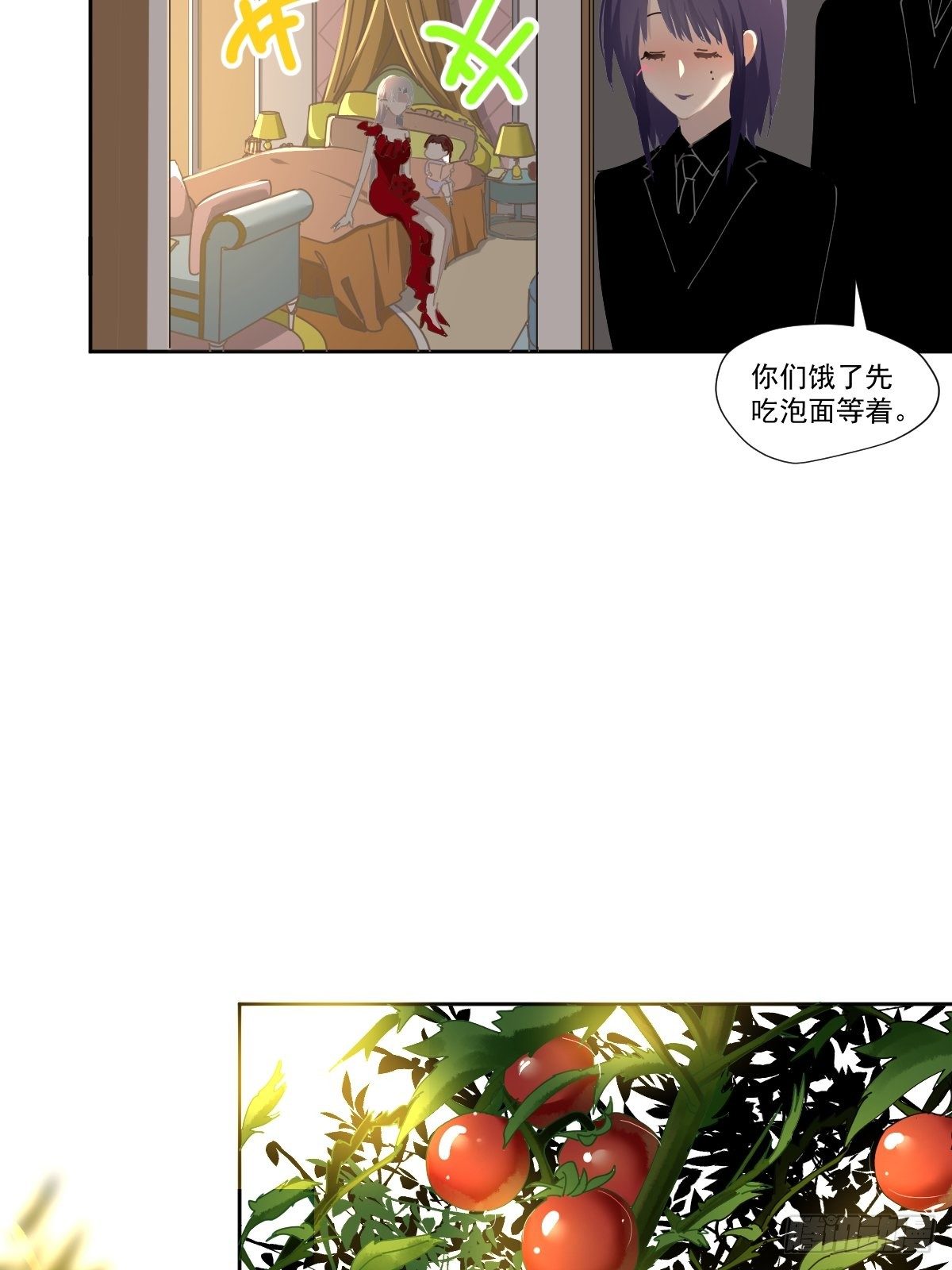 49.卡罗拉9