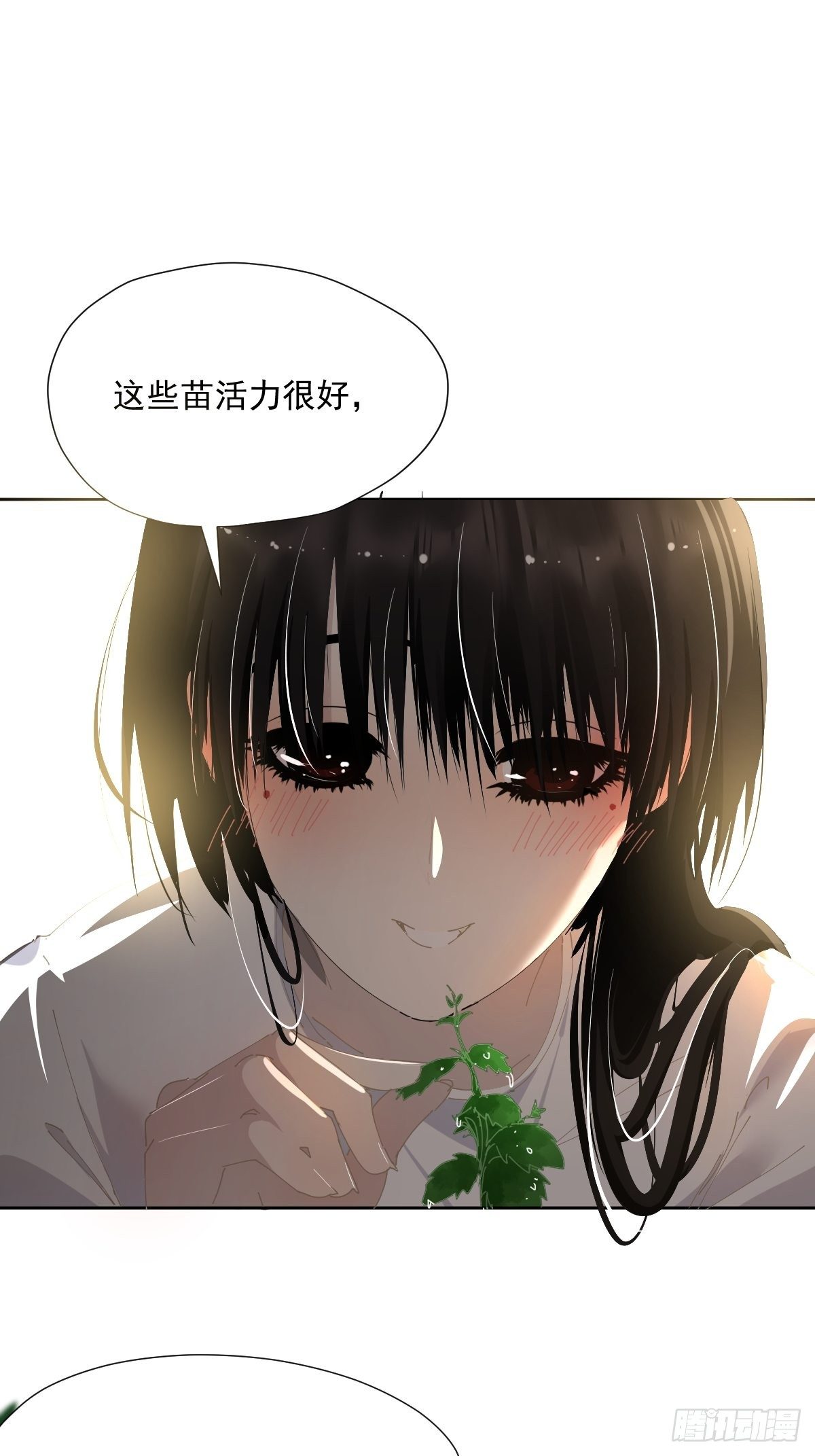 49.卡罗拉11
