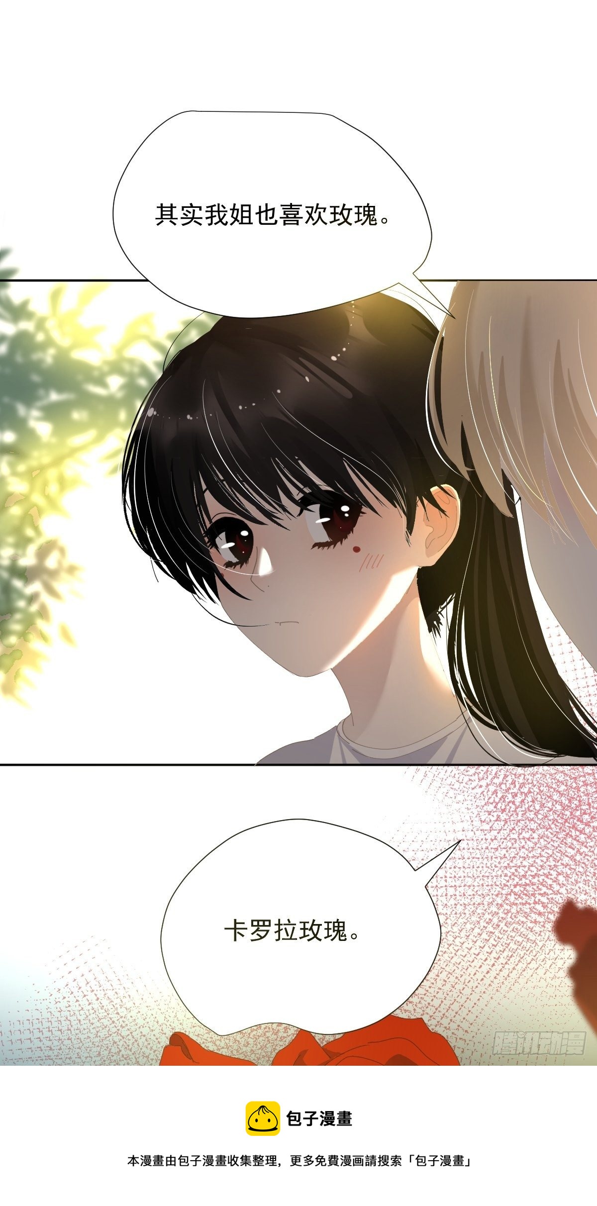 49.卡罗拉16