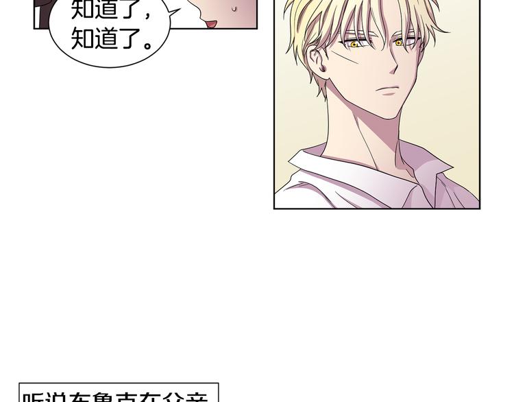 第68话 关于血统59