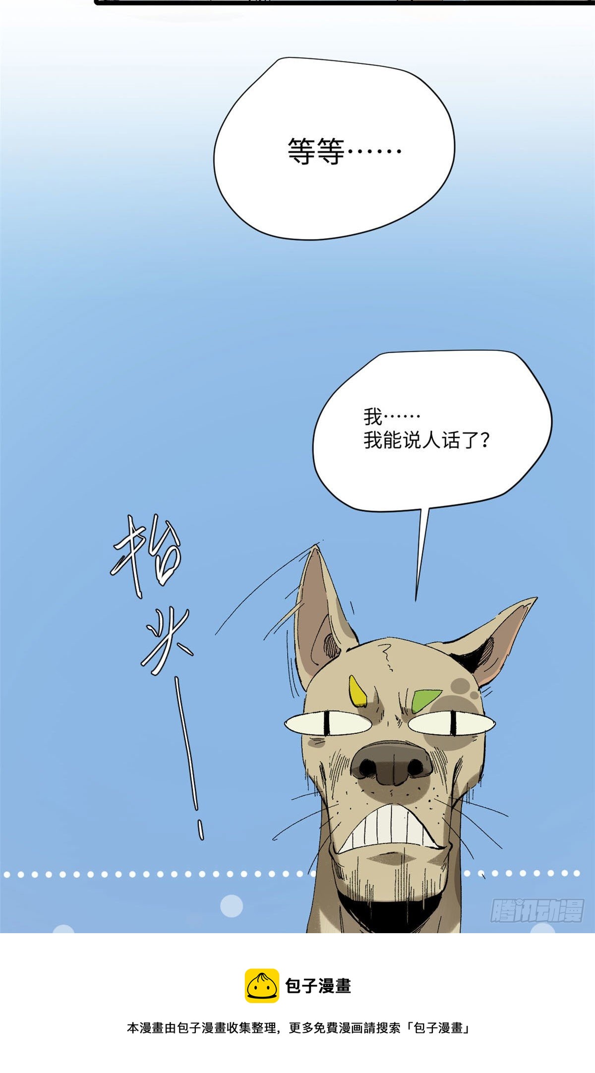 029 忠犬8