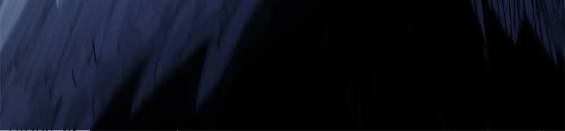 006 阴兵借道29