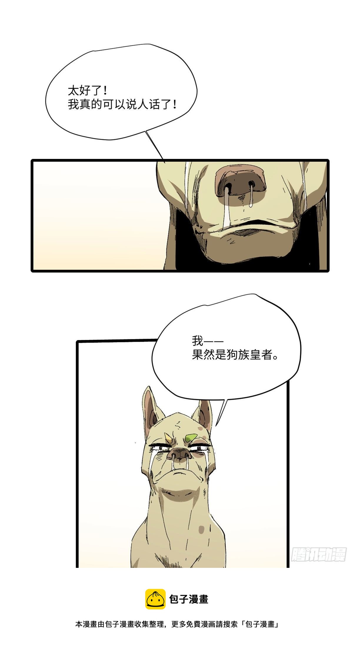 029 忠犬16