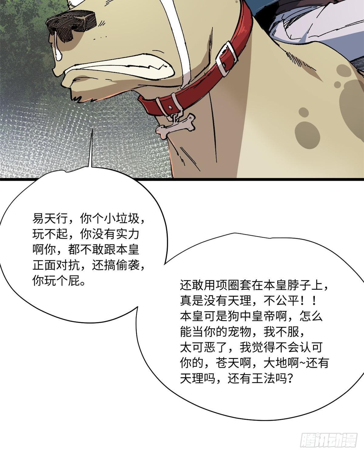 057 天下第一武道会20