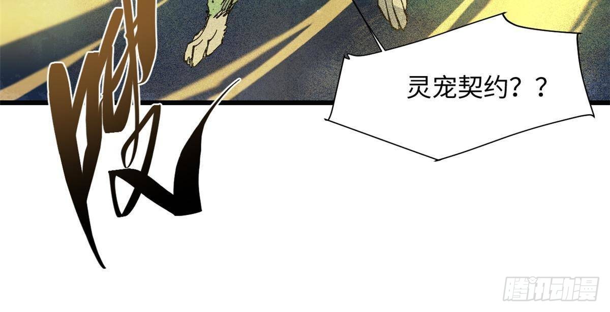 057 天下第一武道会6