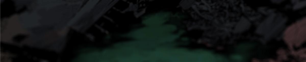 041 生死擂台11