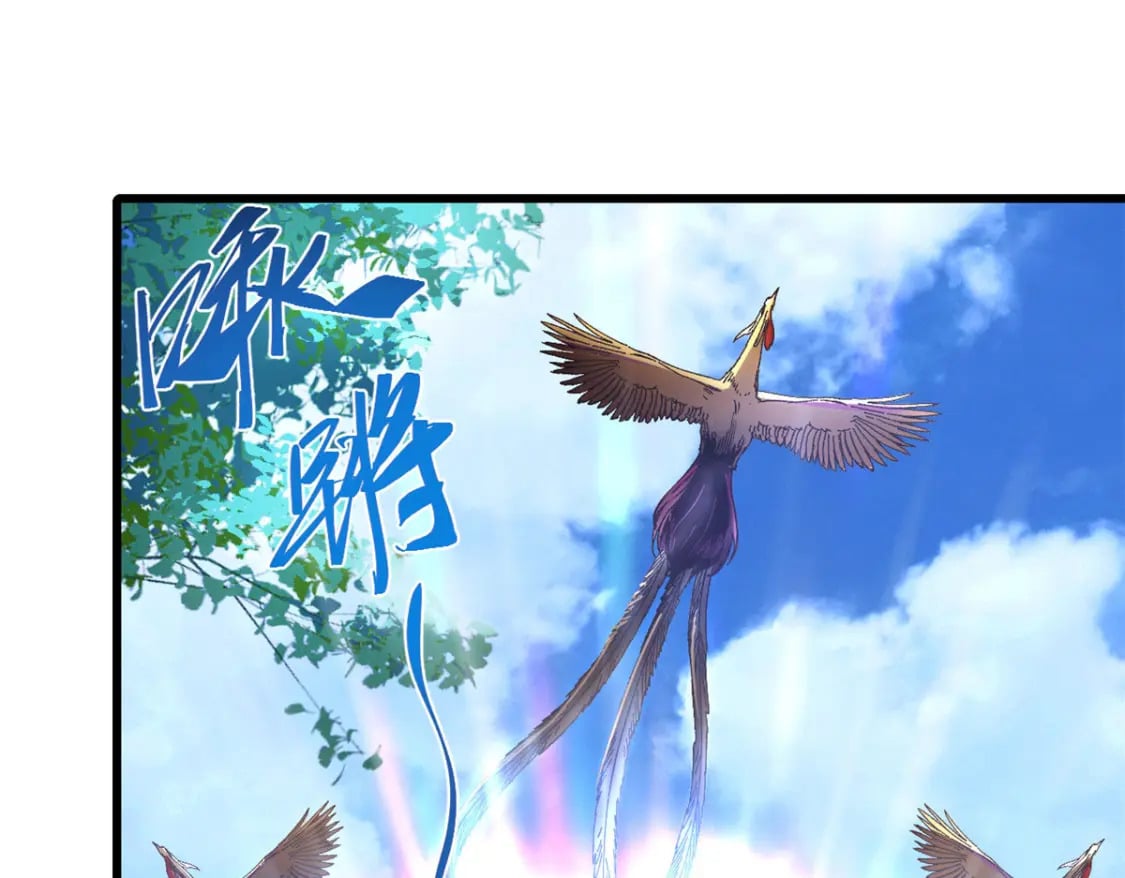 086 万众瞩目0