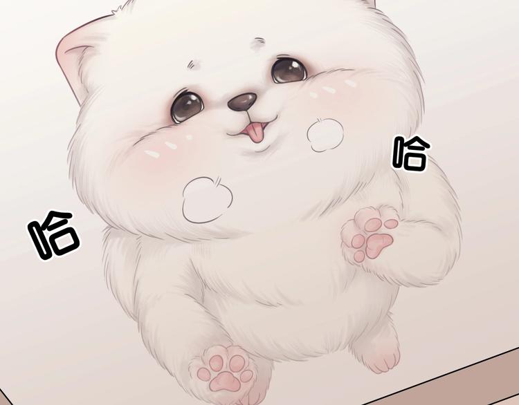 第3话 请叫我乖狗！116