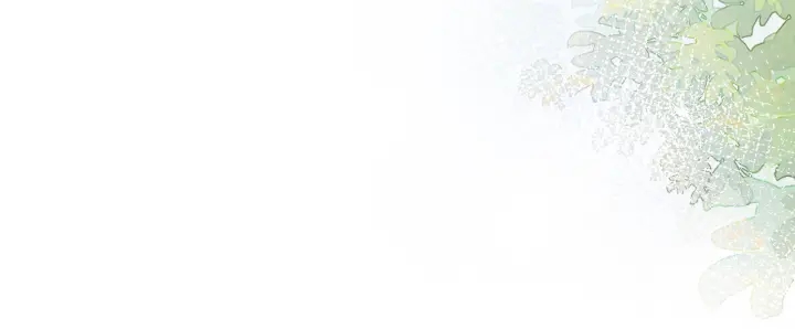 第138话 谎言终将被戳穿94