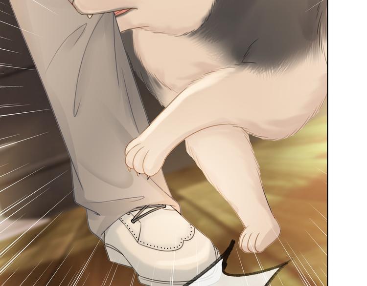 第58话 笙爷出事了68