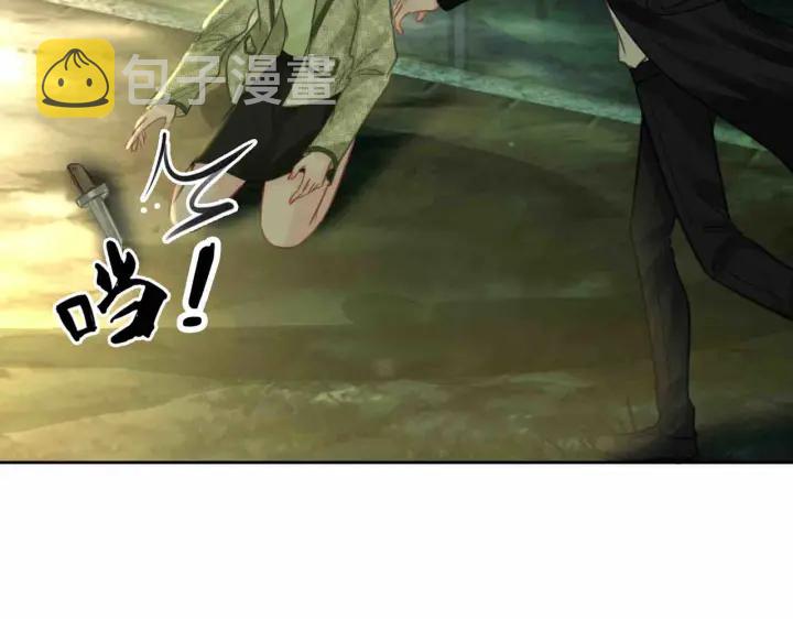 第116话 情景重现113