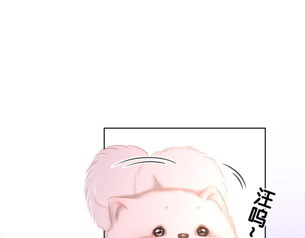 番外完结篇 为你披上婚纱50