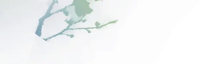 第135话 我只信你119
