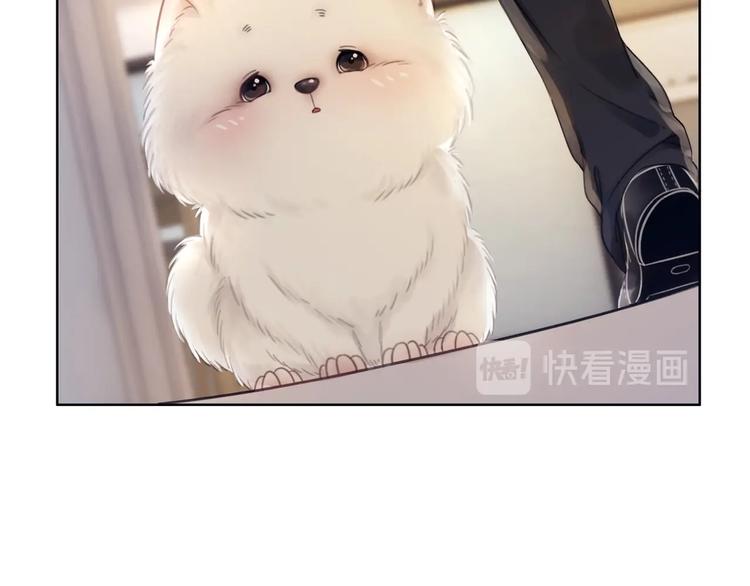 第3话 请叫我乖狗！114