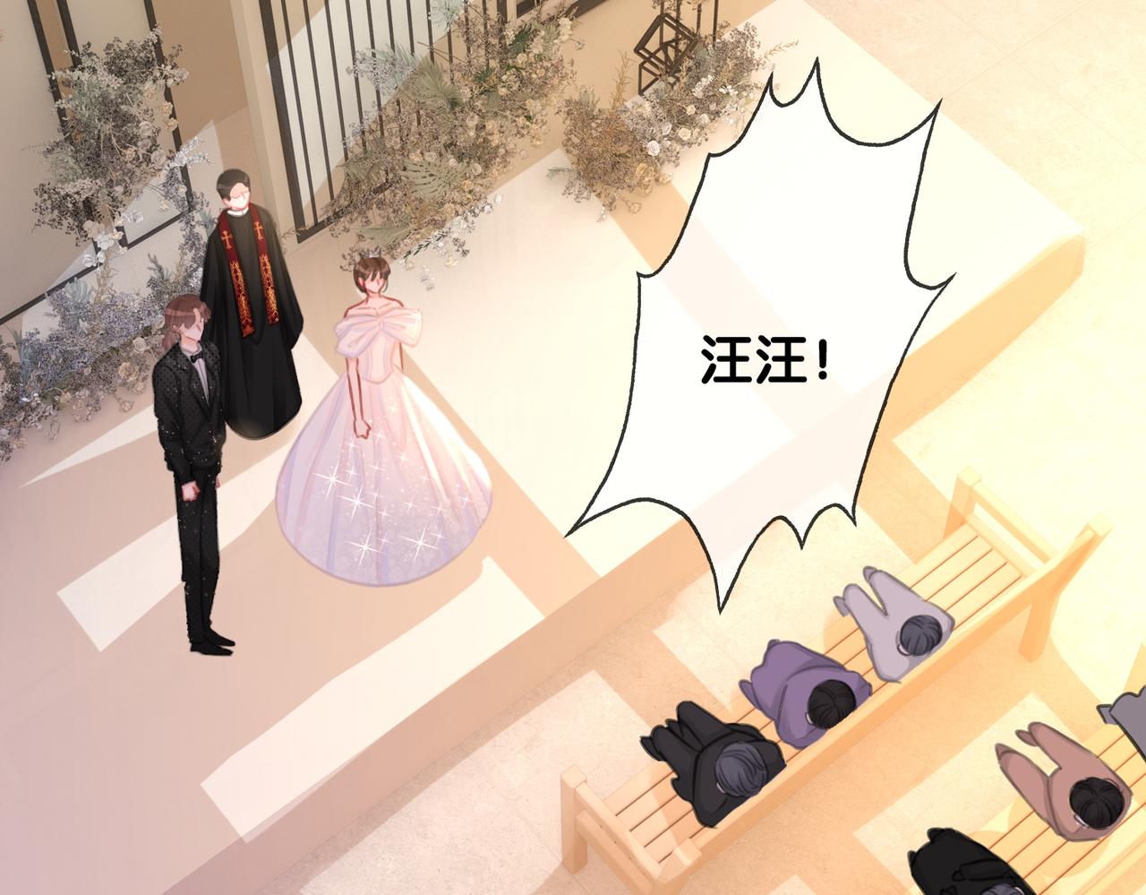 番外完结篇 为你披上婚纱52