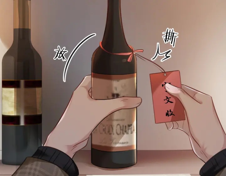 第114话 宇文生日快乐75