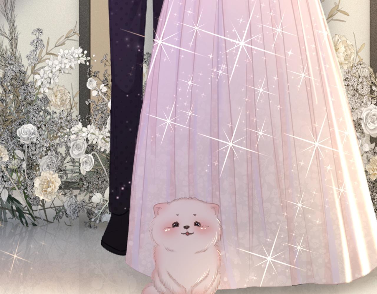 番外完结篇 为你披上婚纱76