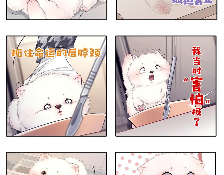 第5话 肾好钱还多145