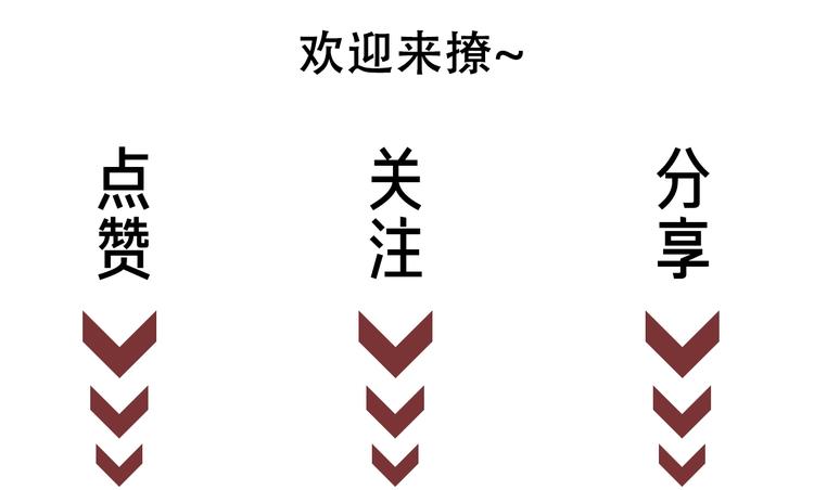 第12话 偏执型人格障碍146