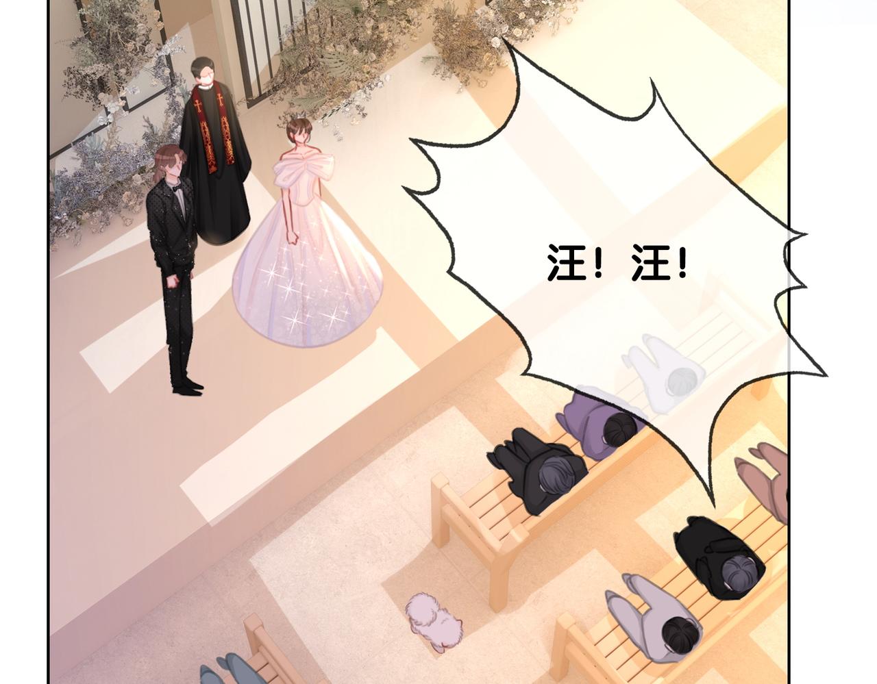 番外完结篇 为你披上婚纱66