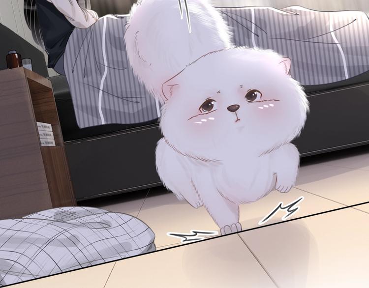 第8话 我的喜好他都知道41