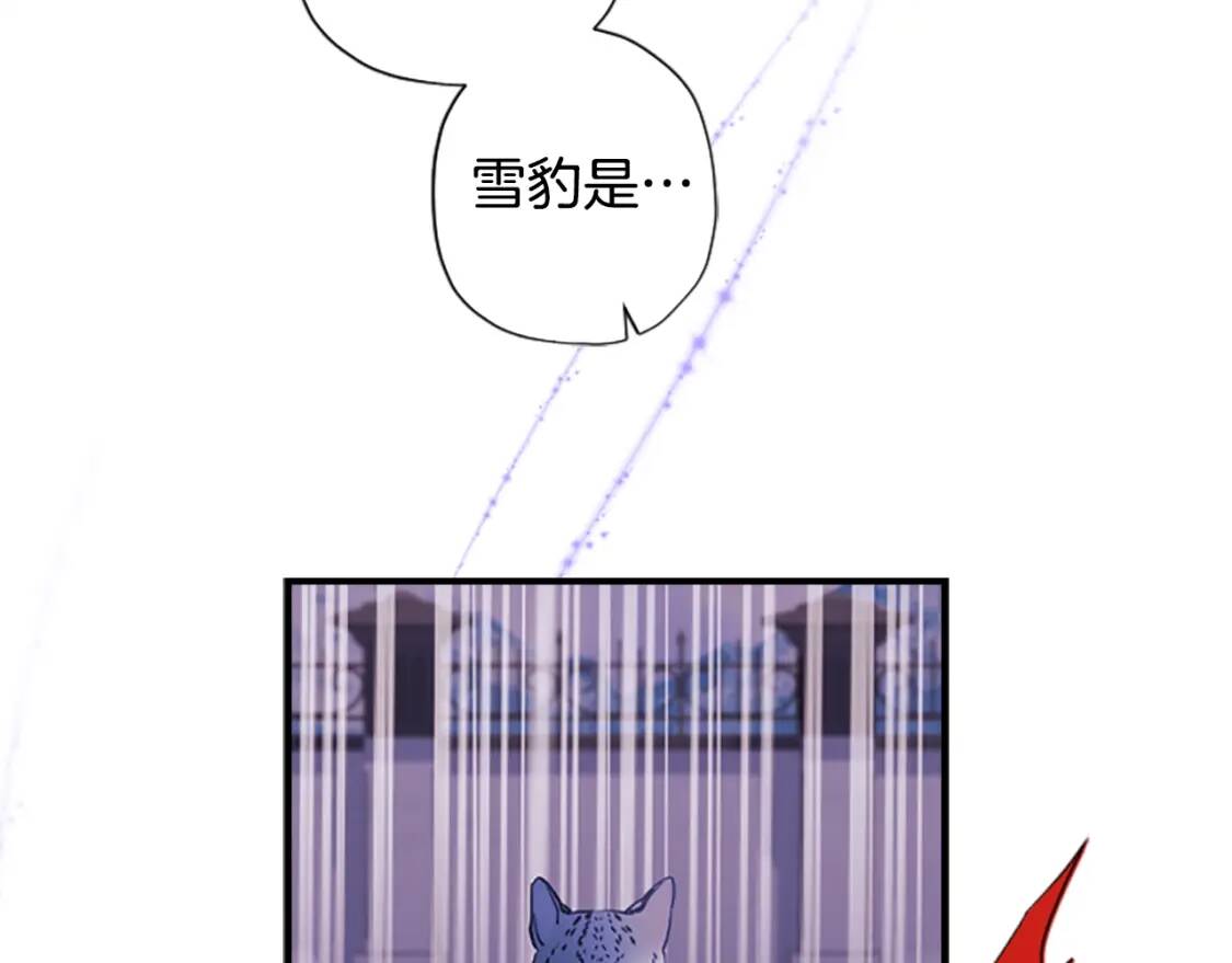 第49话 大猫136