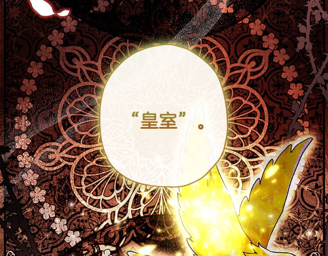 第40话 胖宝宝6