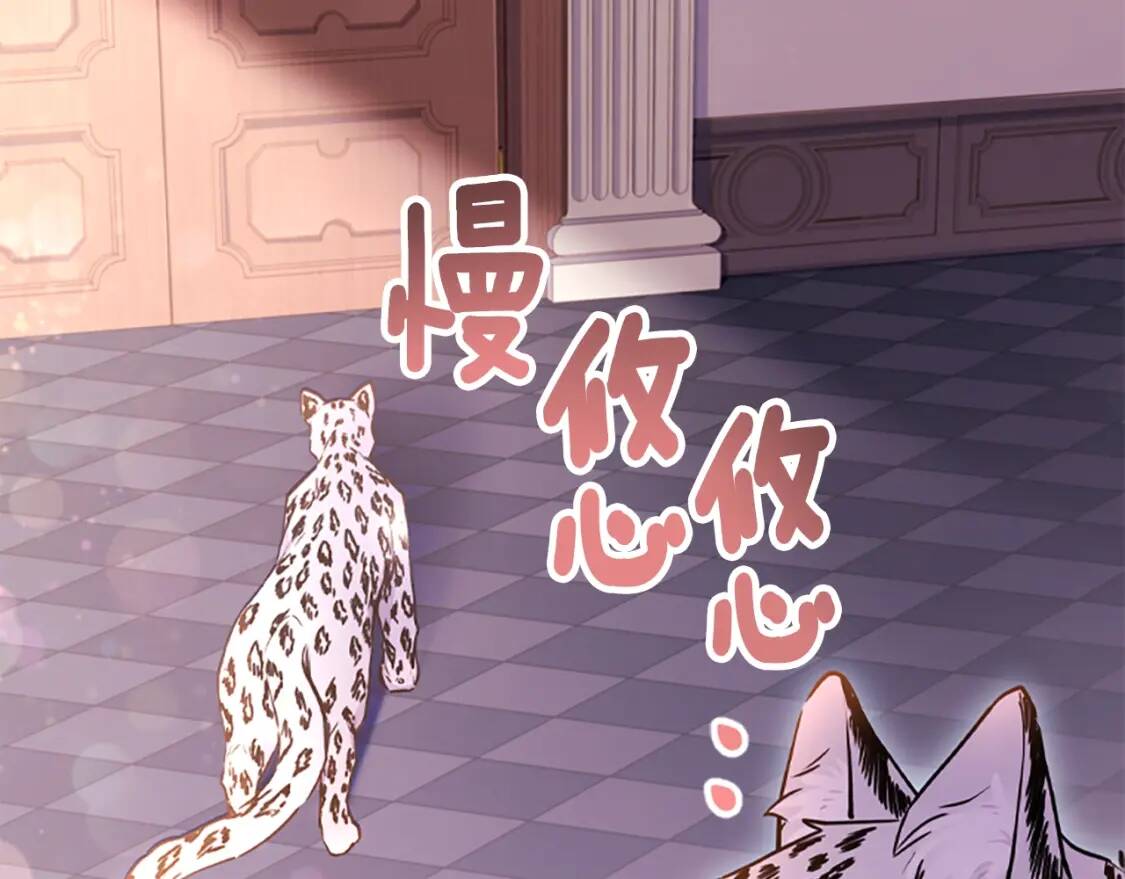 第一季完结篇 安全感35