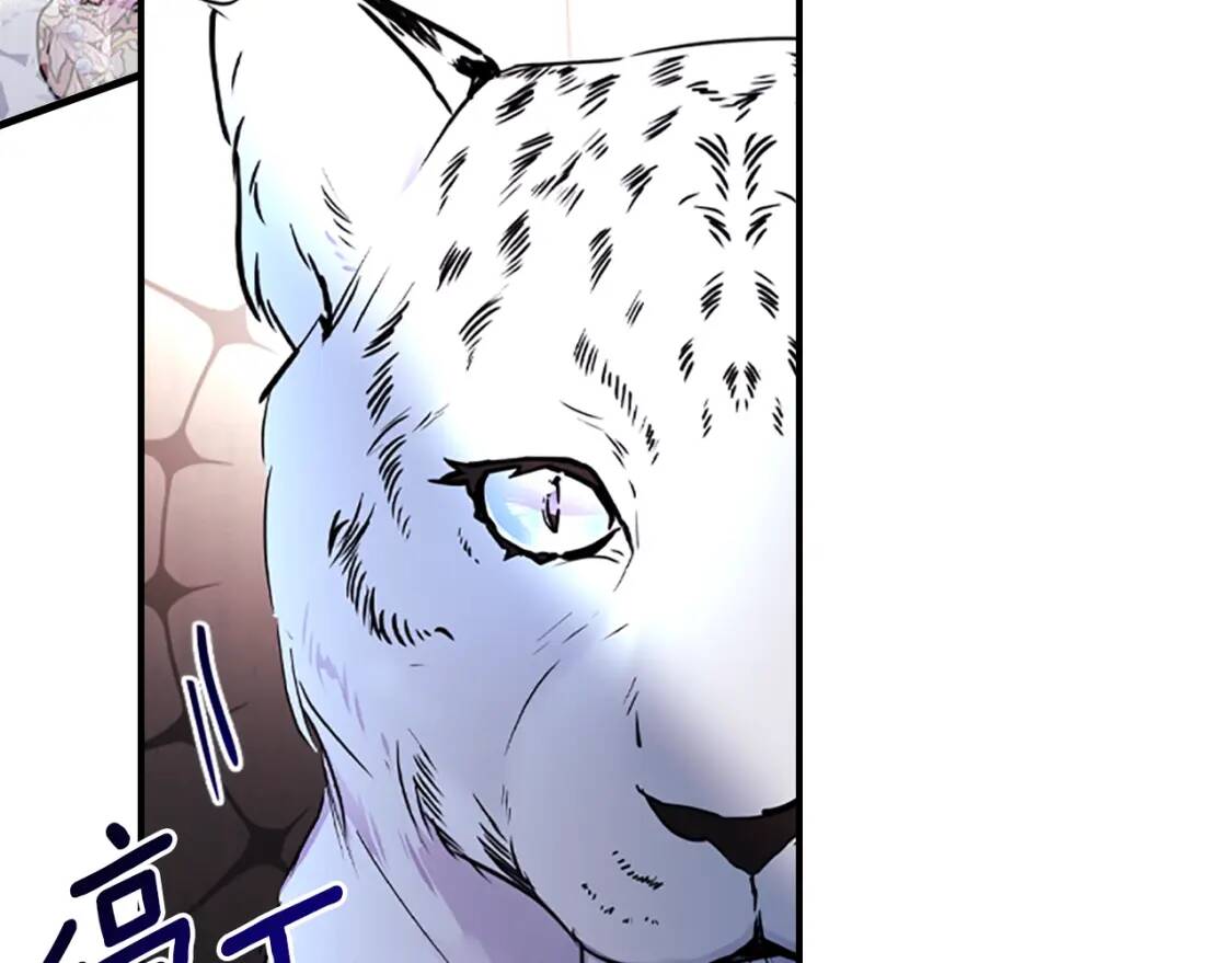 第49话 大猫128