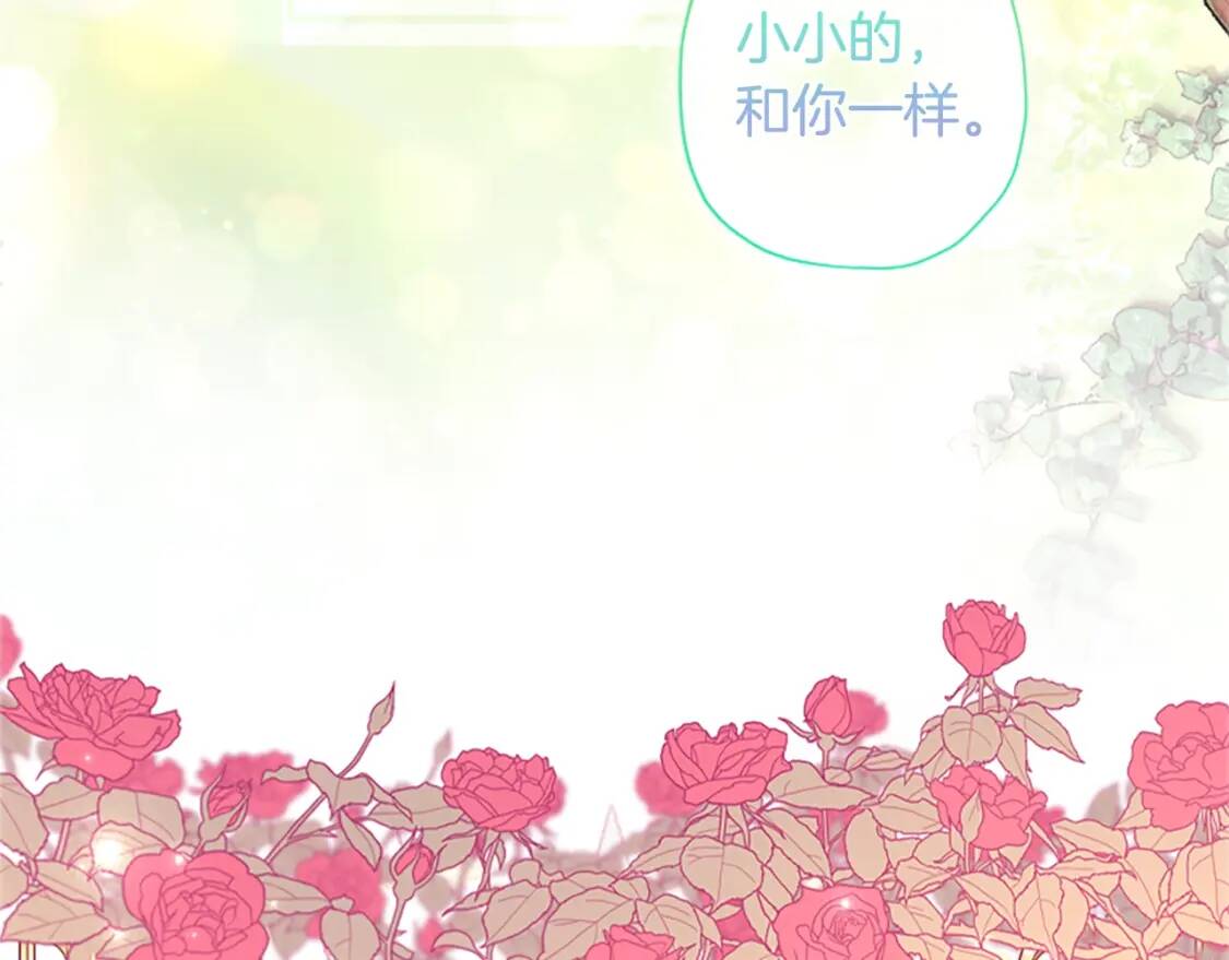 第一季完结篇 安全感216