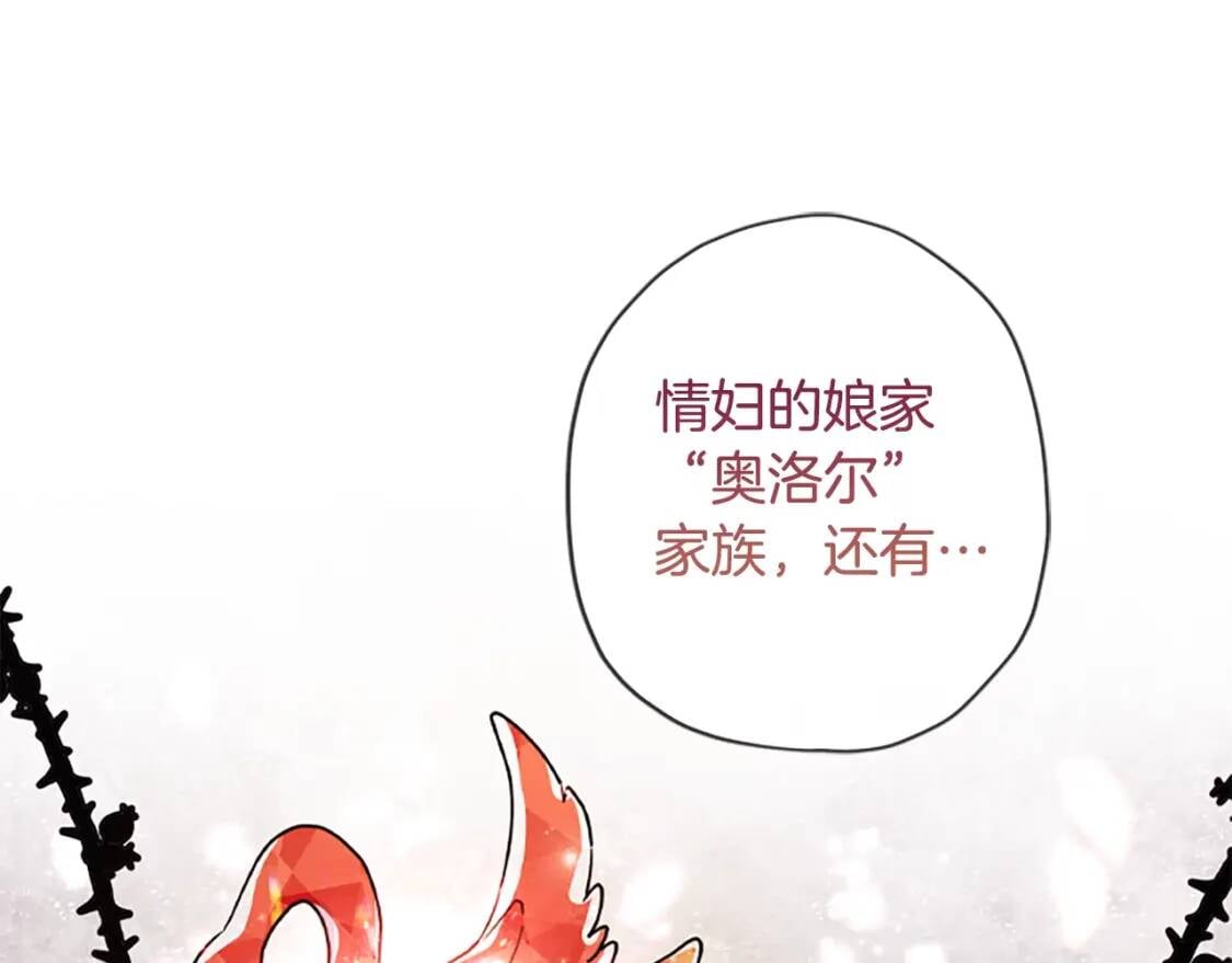 第40话 胖宝宝4