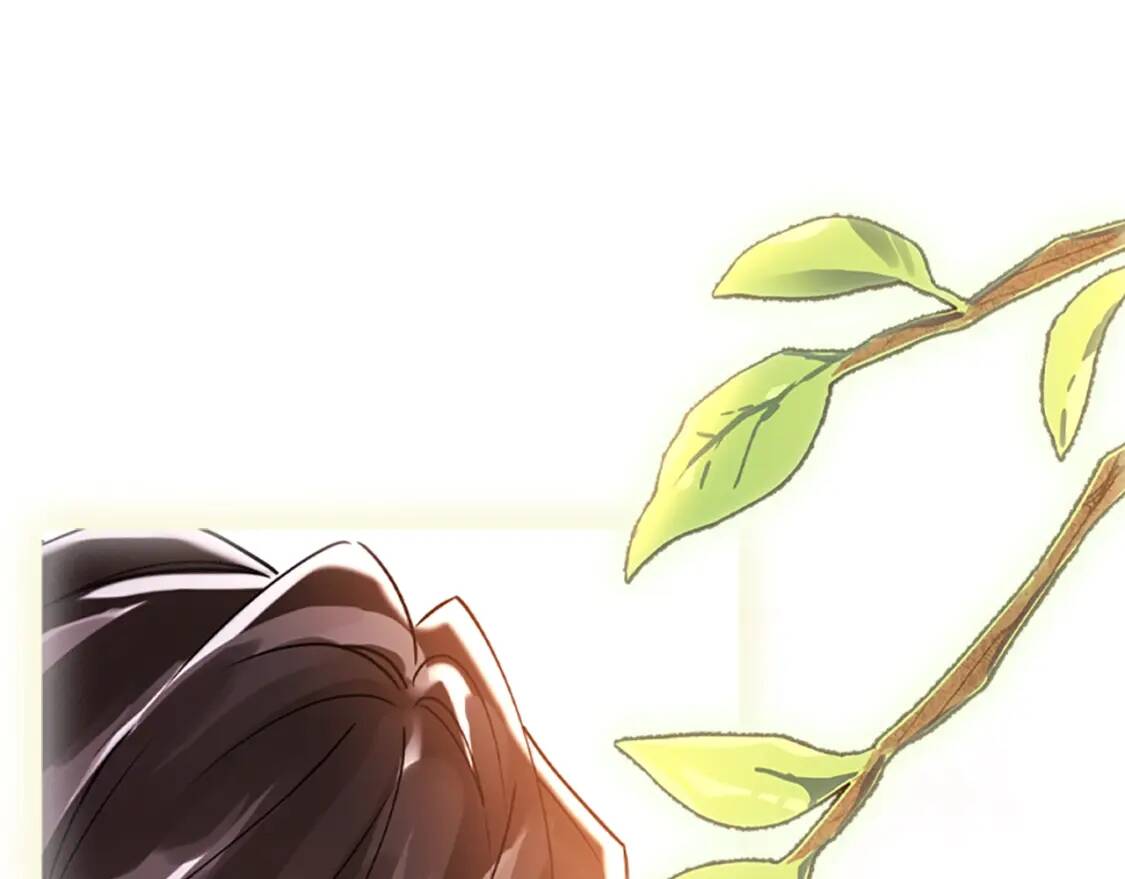 第一季完结篇 安全感221
