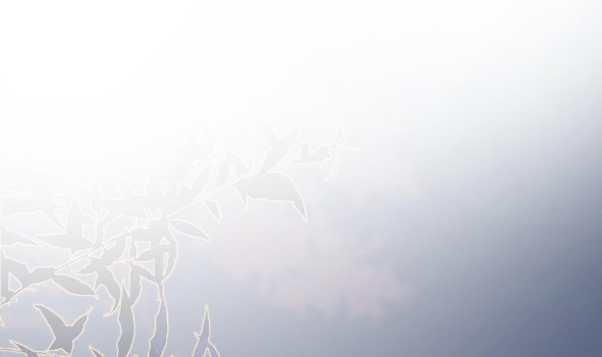 14 第12话  也不是不可以3