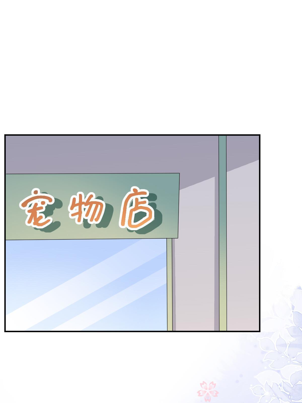 27 我只喜欢美女51
