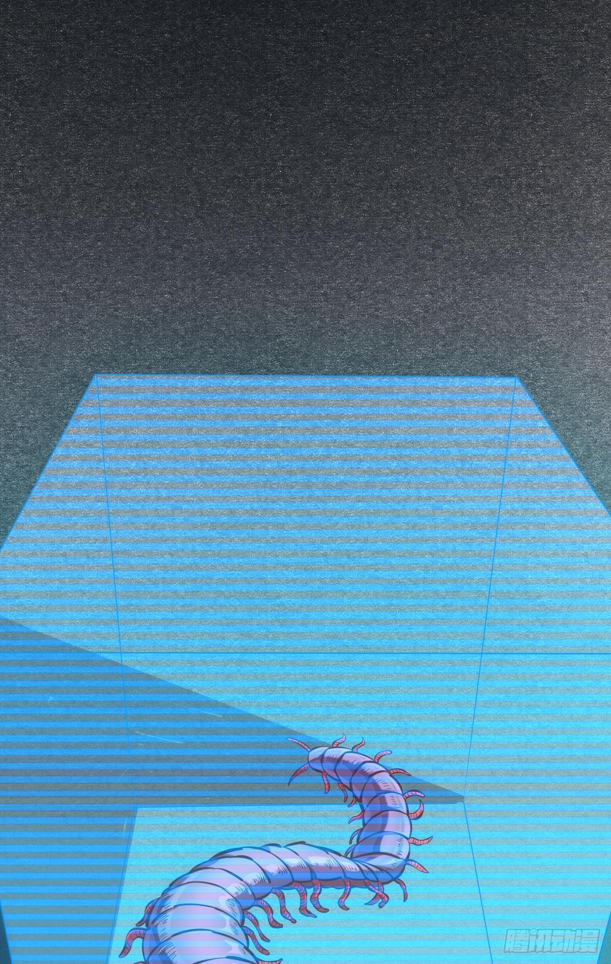 脑蜒5