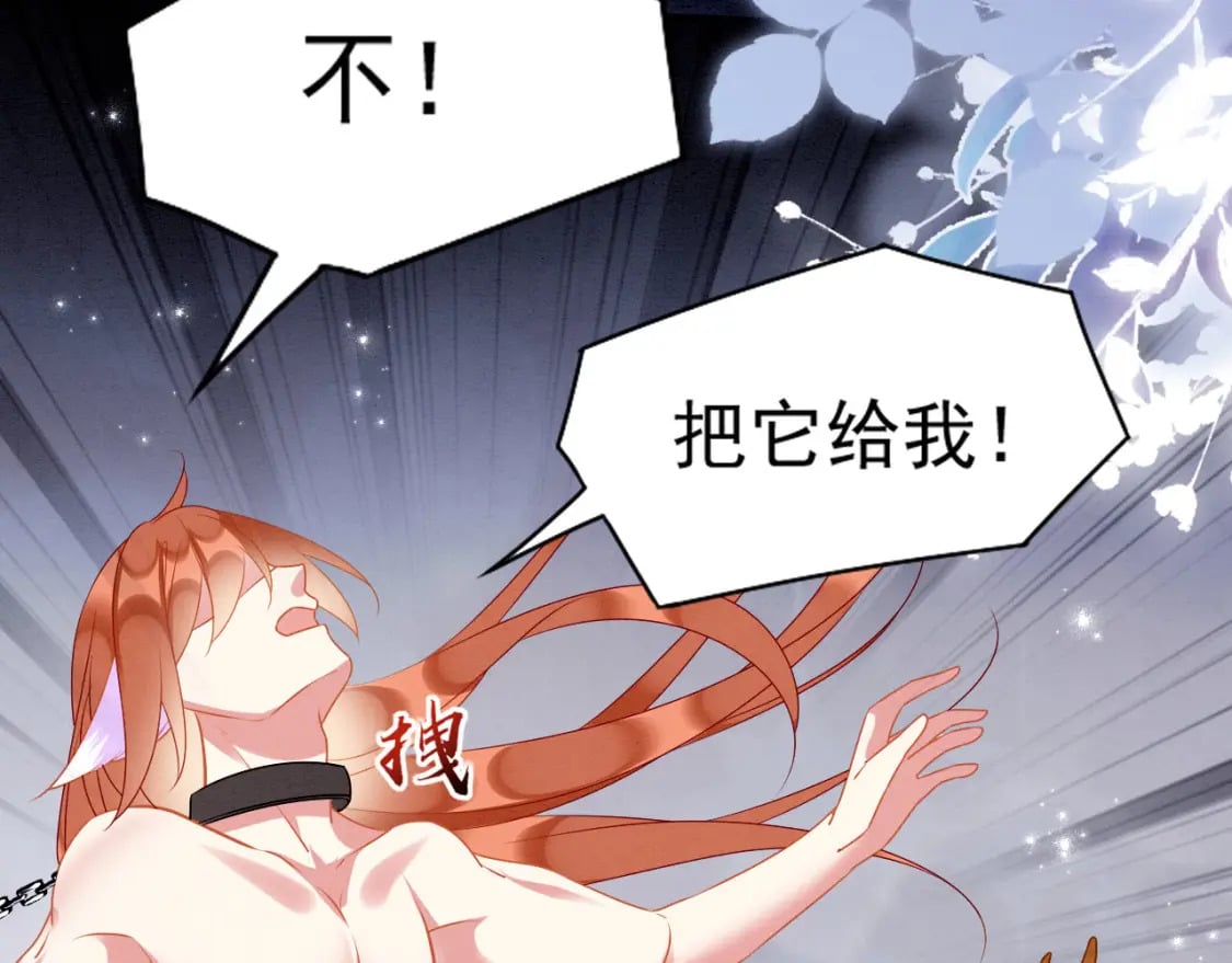 80 争夺传承116