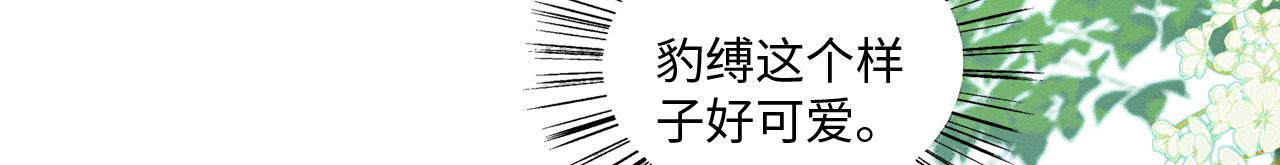 18 打跑了羊，又来只狮81