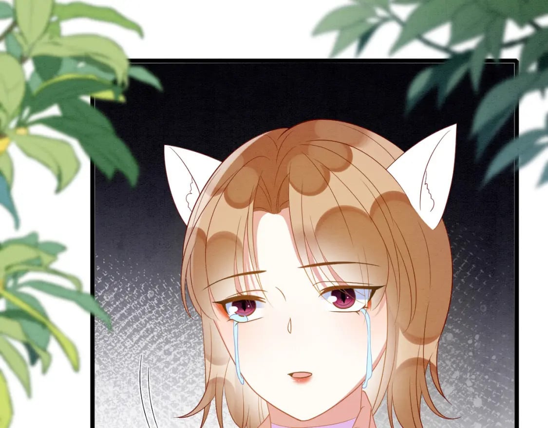 94 伴生花46