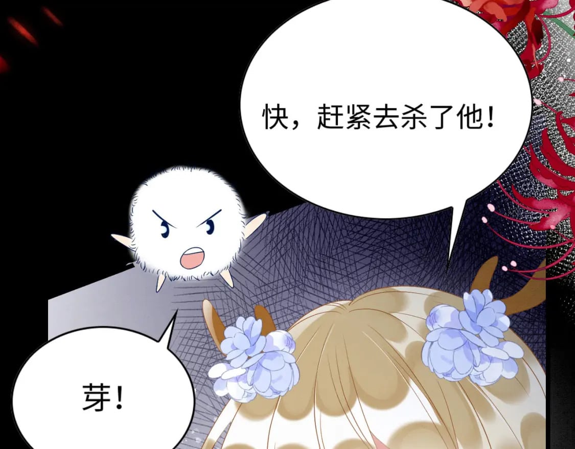 58 训狗71