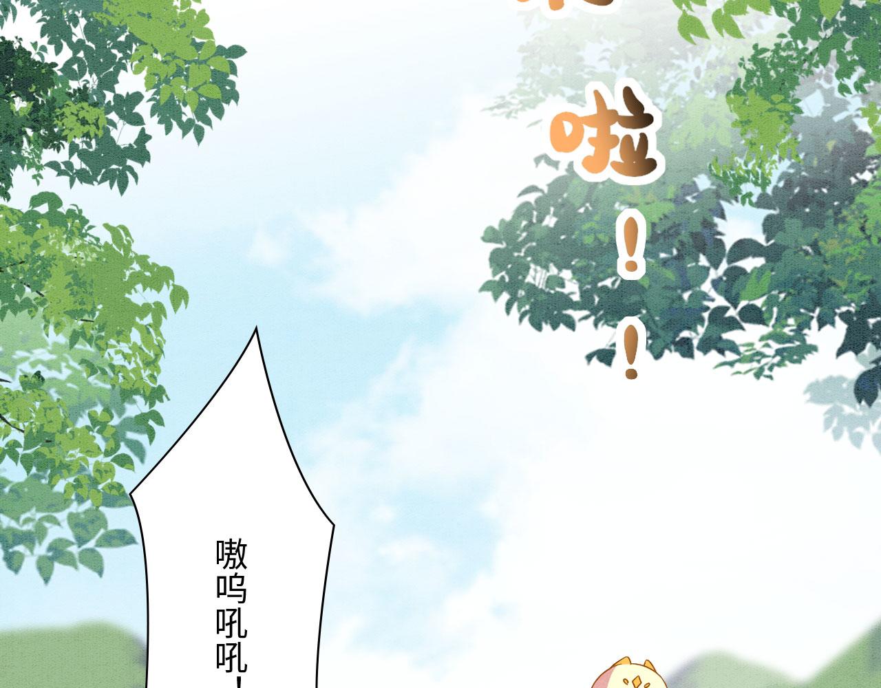 48 新CP诞生48
