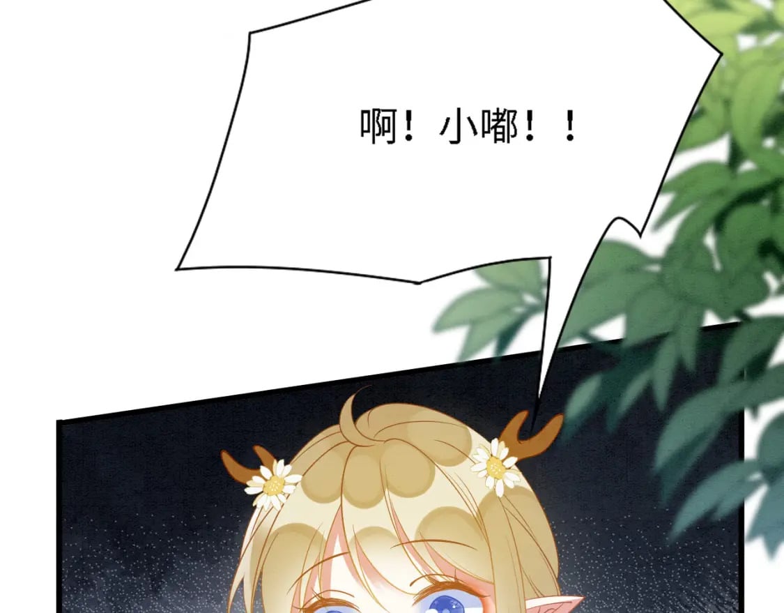 94 伴生花88