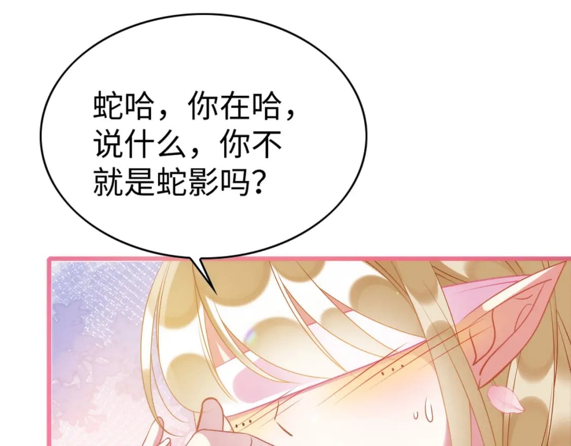 78 蛇影女装64