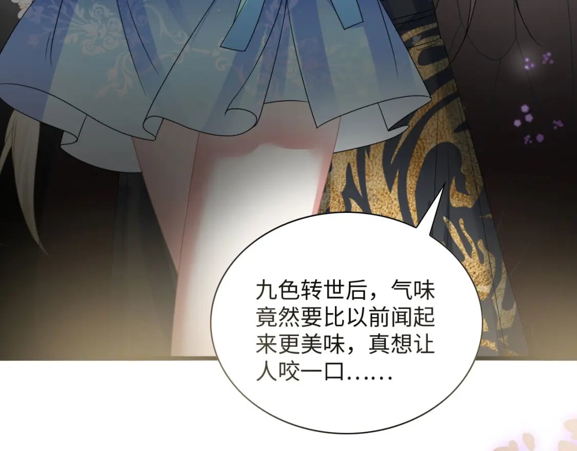 63 厄蝉小心机88