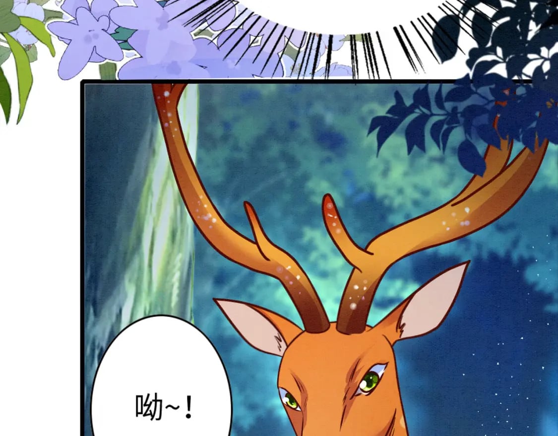 70 酒后情话61
