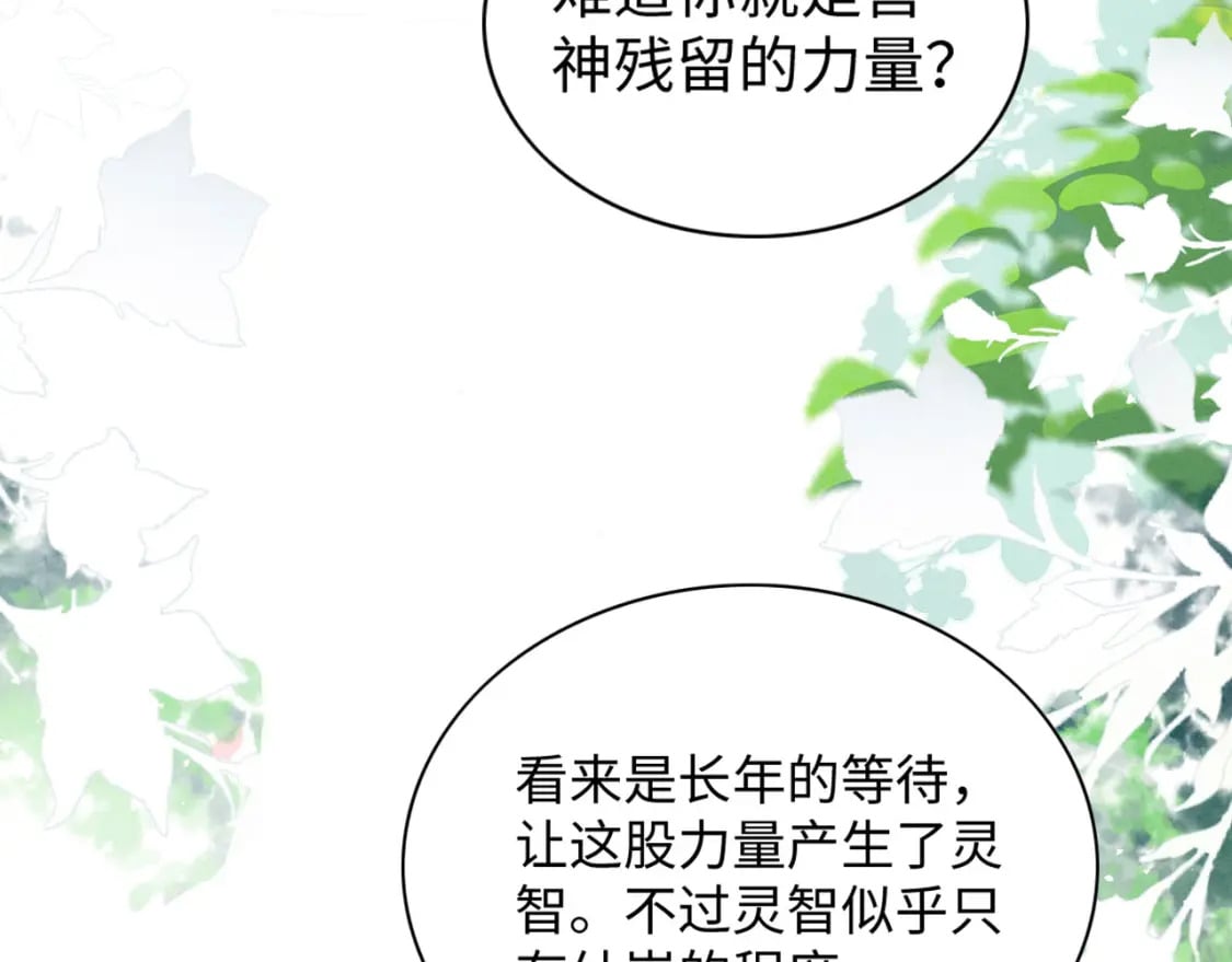 55 美女贴贴110