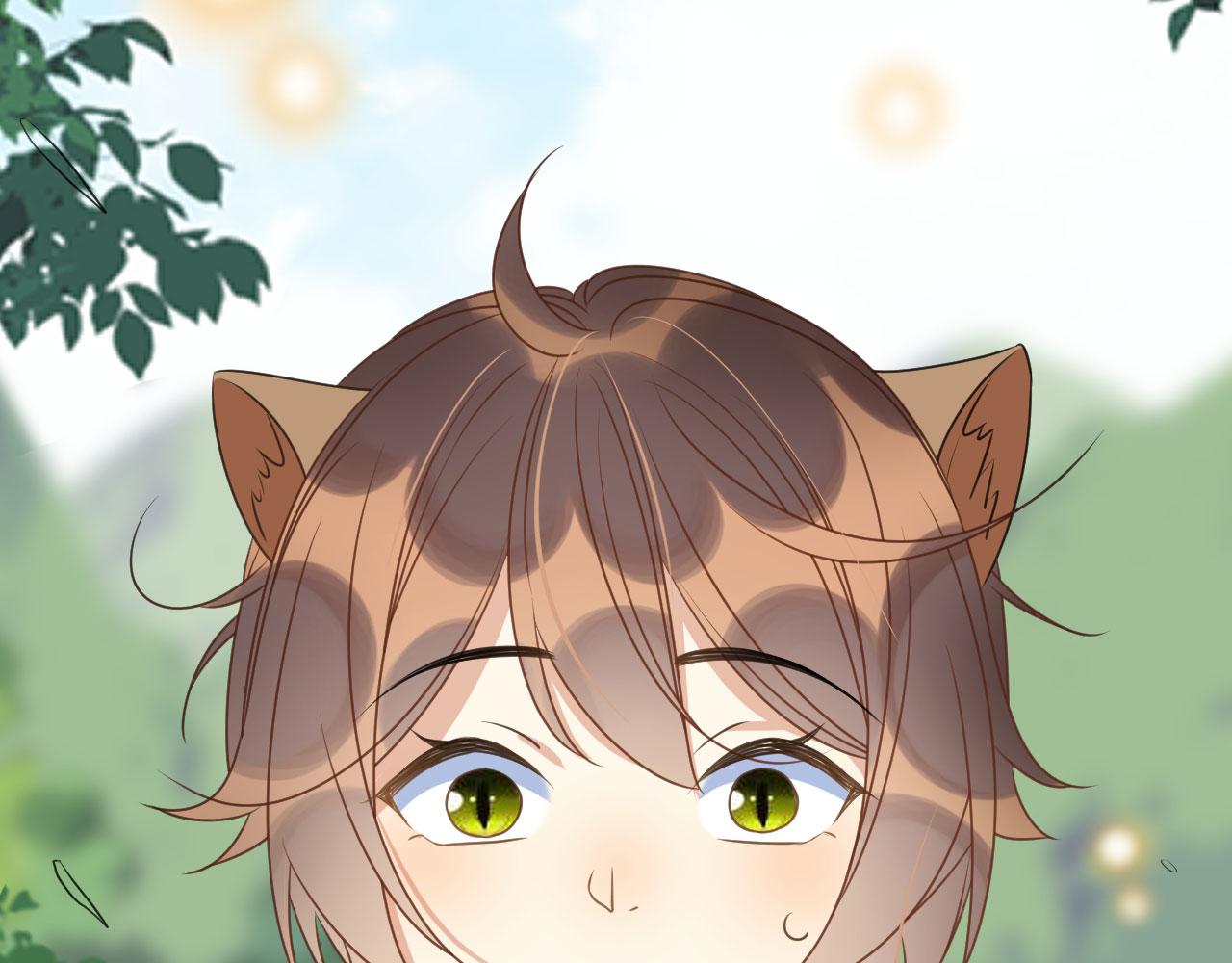 28 你才是猫！101