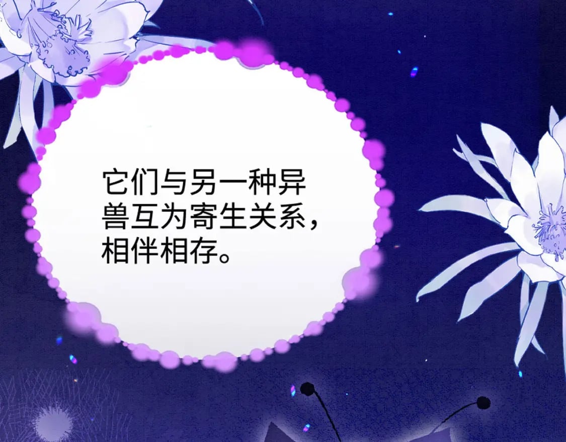95 好奇怪30