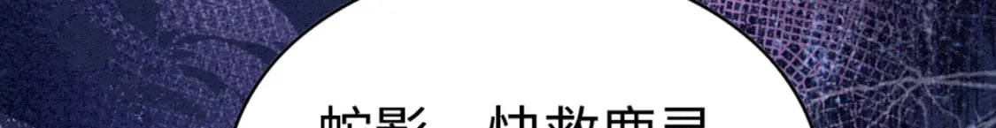 74 雄性的较量81